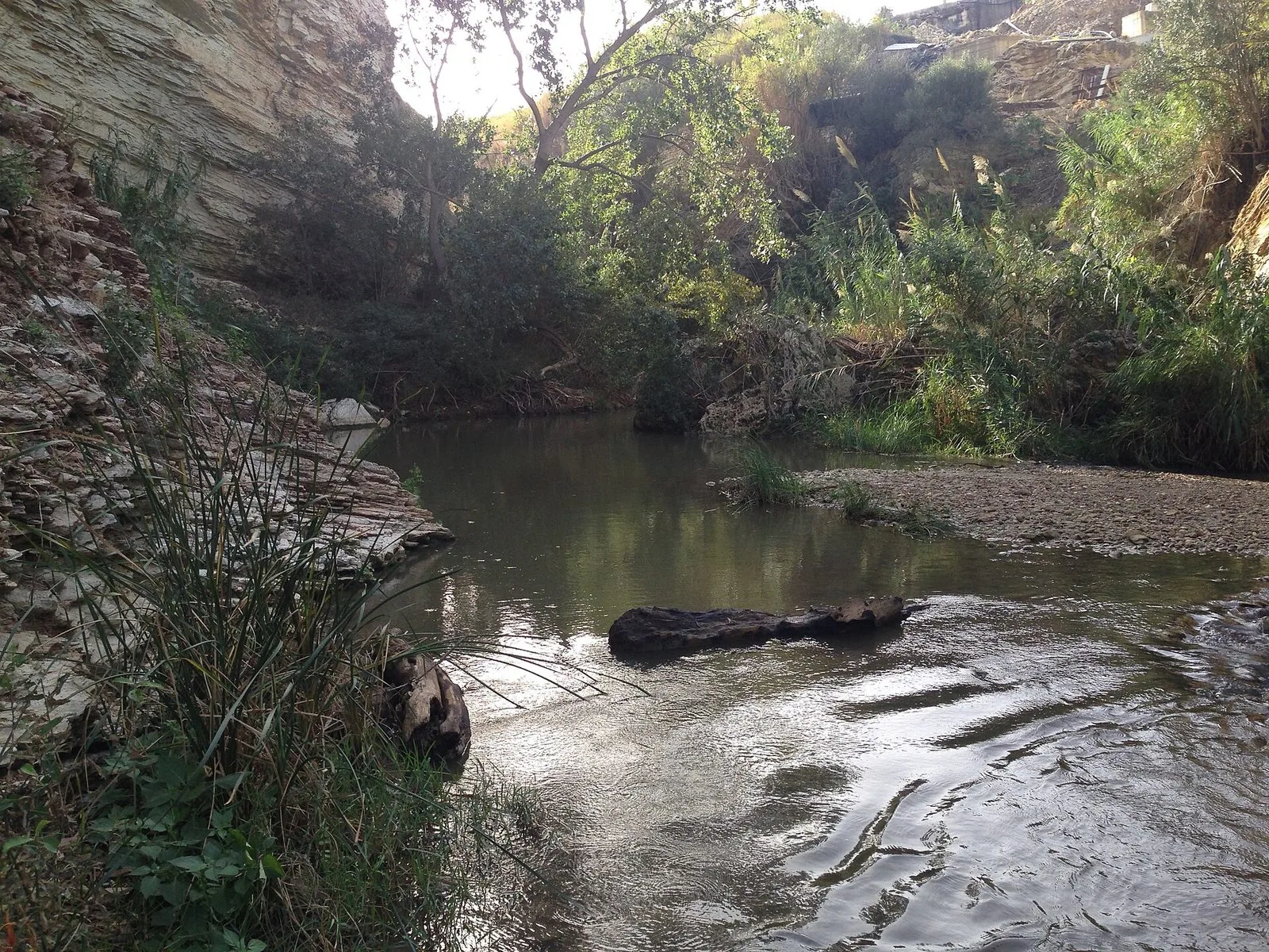 Le acque del fiume Caldo lungo la gola delle Terme Segestane